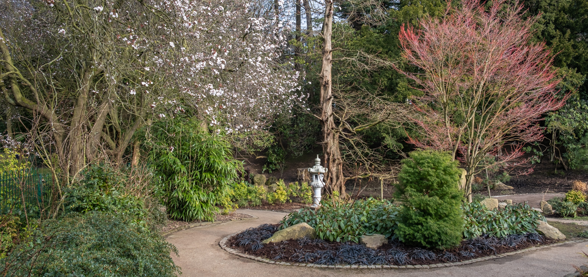 Spring Harrogate Valley Gardens 167 Japanese garden