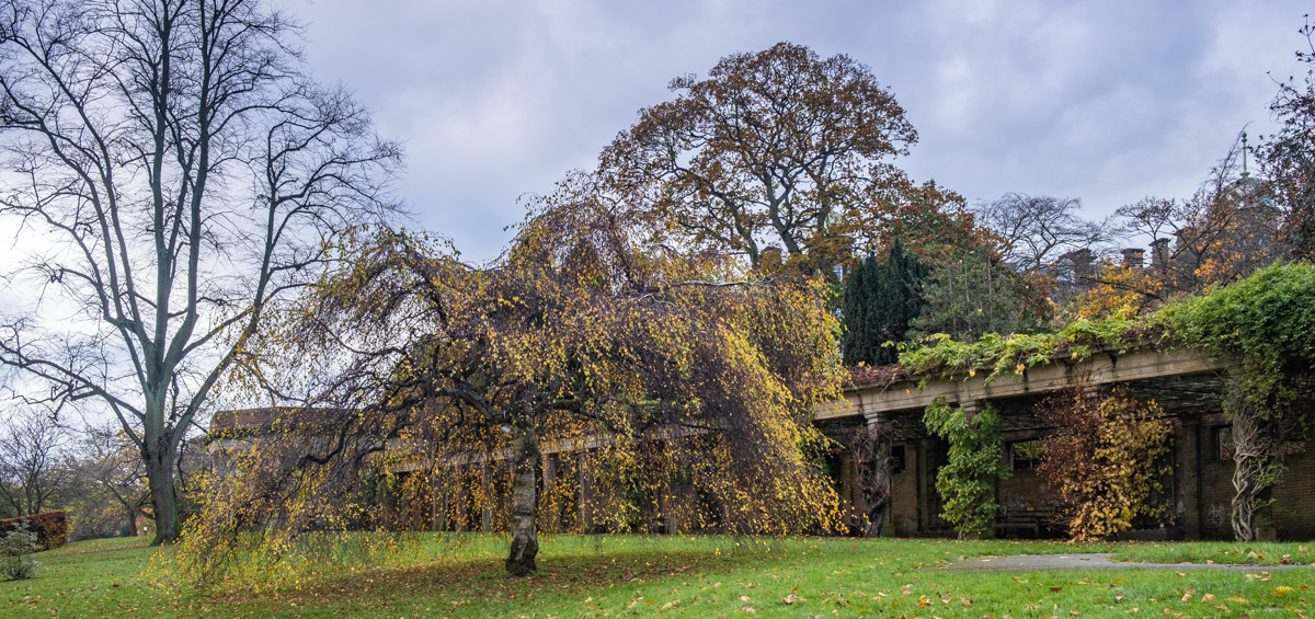 Valley Gardens in autumn 4