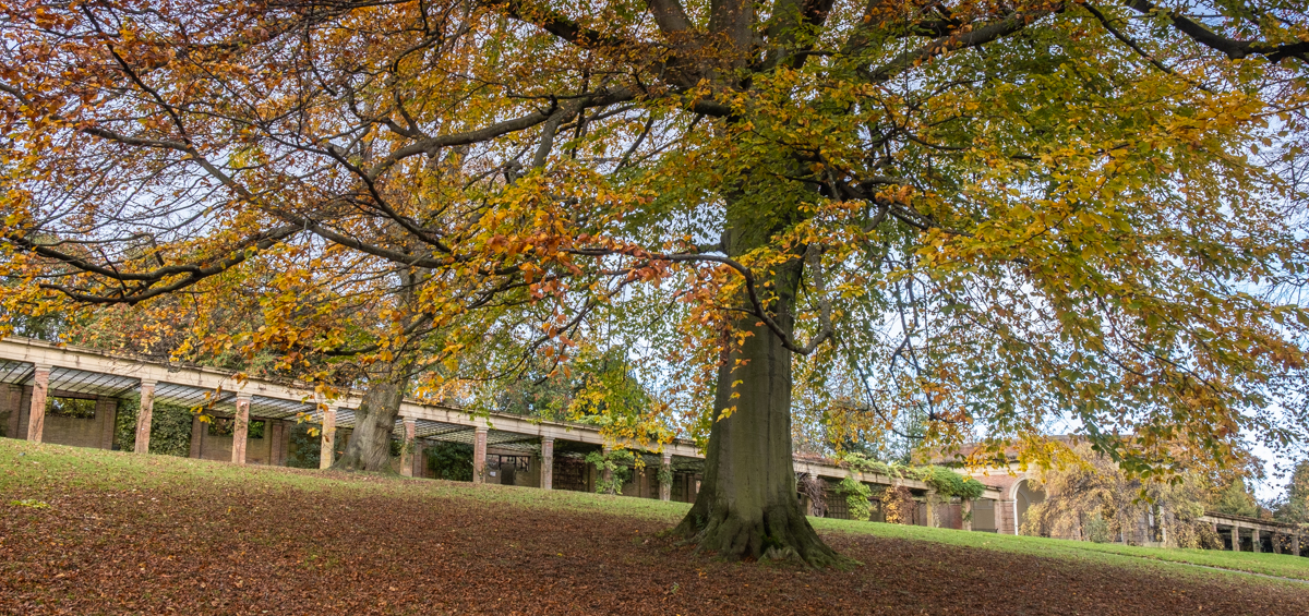 Valley Gardens in autumn 7