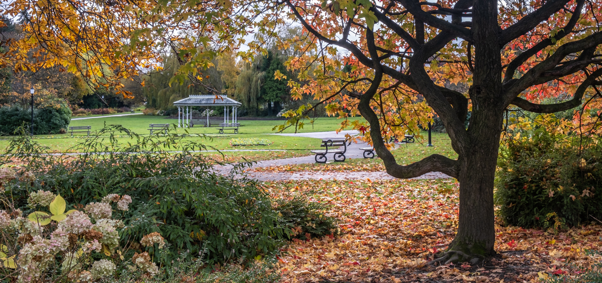 Valley Gardens in autumn 10